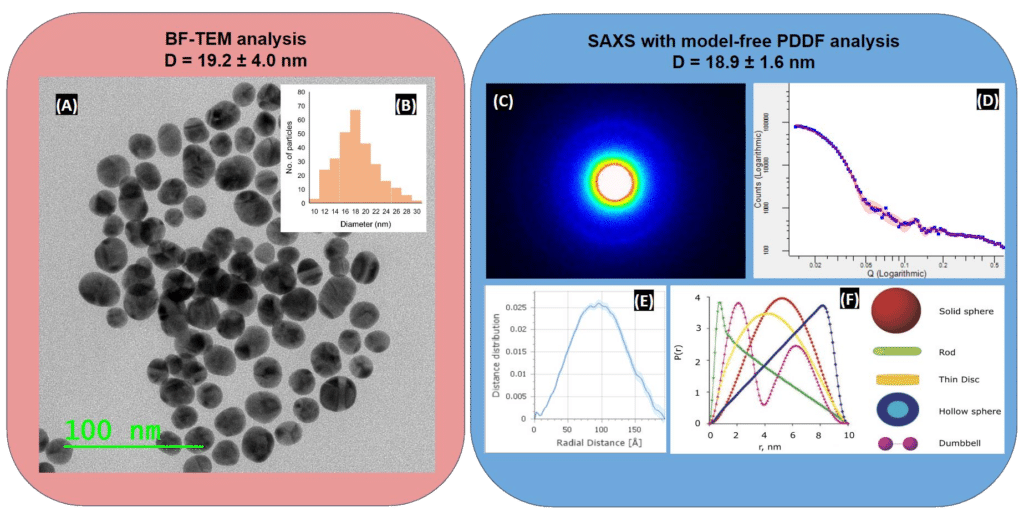 Figure 1: (A) Bright-Field TEM image and (B) measured size distribution of the Au nanoparticles, diameter = 19.2 ± 4.0 nm. (C) 2D SAXS data measured with an evacuated flight tube (EFT) filled with vacuum. (D, E) SAXS data integrated into 1D and background subtraction: A model-free analysis based on Pair Distance Distribution Function (PDDF). The obtained result is indicative of an overall spherical particle shape with approximated diameter of 18.9 nm. (F) PDDF P(r) functions for geometric bodies, adapted from DOI 10.1088/0034-4885/66/10/R05