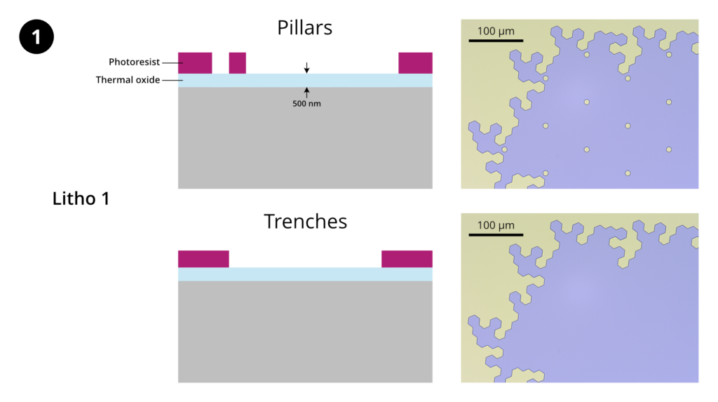 Step 1: Lithography 1. Substrate: 100 mm diameter, 525 µm thick Si prime wafer with ~500 nm thermal oxide. Piranha clean, HMDS prime, spin-coat ~1.1 µm AZ 1512 photoresist, softbake. Expose layer 1 using MLA150 (405 nm). Develop in AZ 400K 1:4.