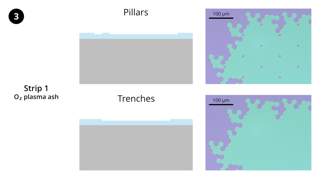 Step 3: Resist strip 1. Strip remaining photoresist using the "O2-stripping" recipe on the Trion RIE.