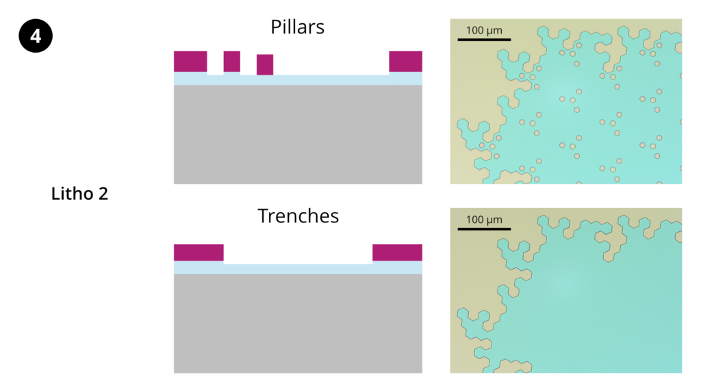 Step 4: Lithography 2. HMDS prime, spin-coat ~1.1 µm AZ 1512 photoresist, softbake. Expose layer 2 using MLA150 (405 nm). Develop in AZ 400K 1:4.