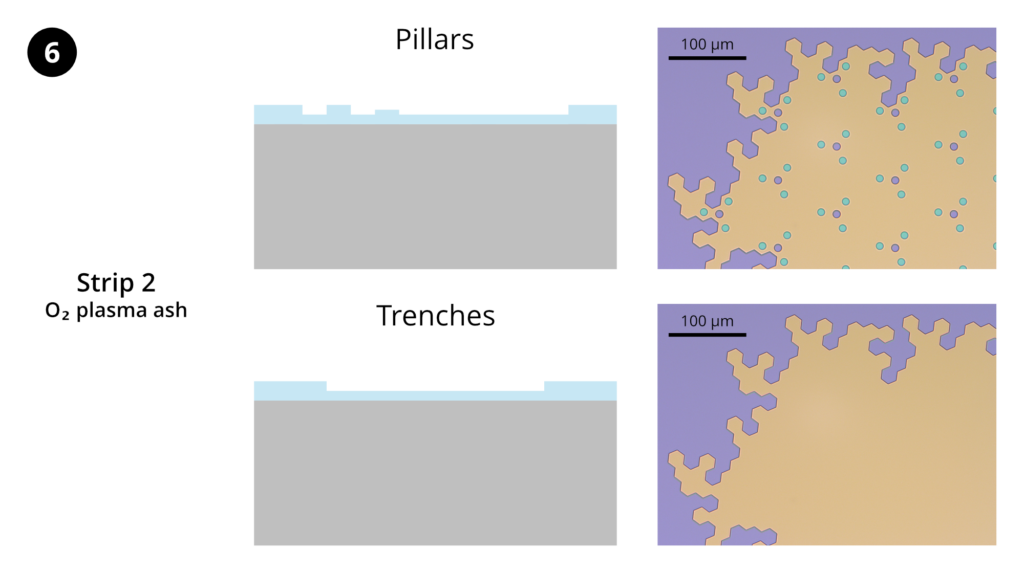 Step 6: Resist strip 2. Strip remaining photoresist using the "O2-stripping" recipe on the Trion RIE.