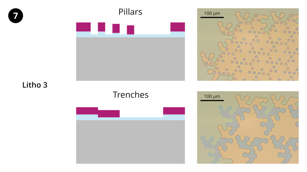 Step 7: Lithography 3. HMDS prime, spin-coat ~1.1 µm AZ 1512 photoresist, softbake. Expose layer 3 using MLA150 (405 nm). Develop in AZ 400K 1:4.