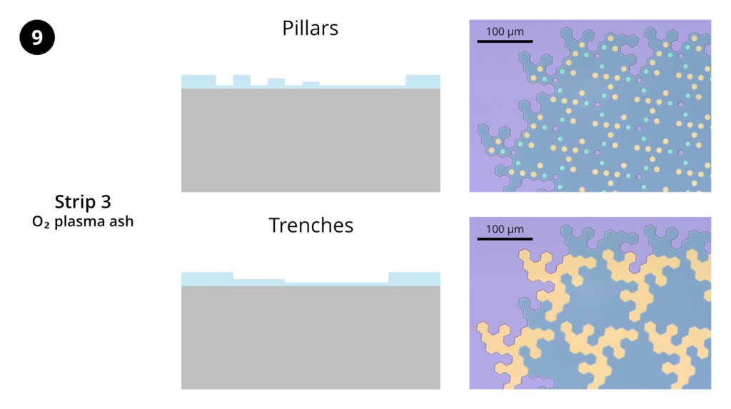 Step 9: Resist strip 3. Strip remaining photoresist using the "O2-stripping" recipe on the Trion RIE.