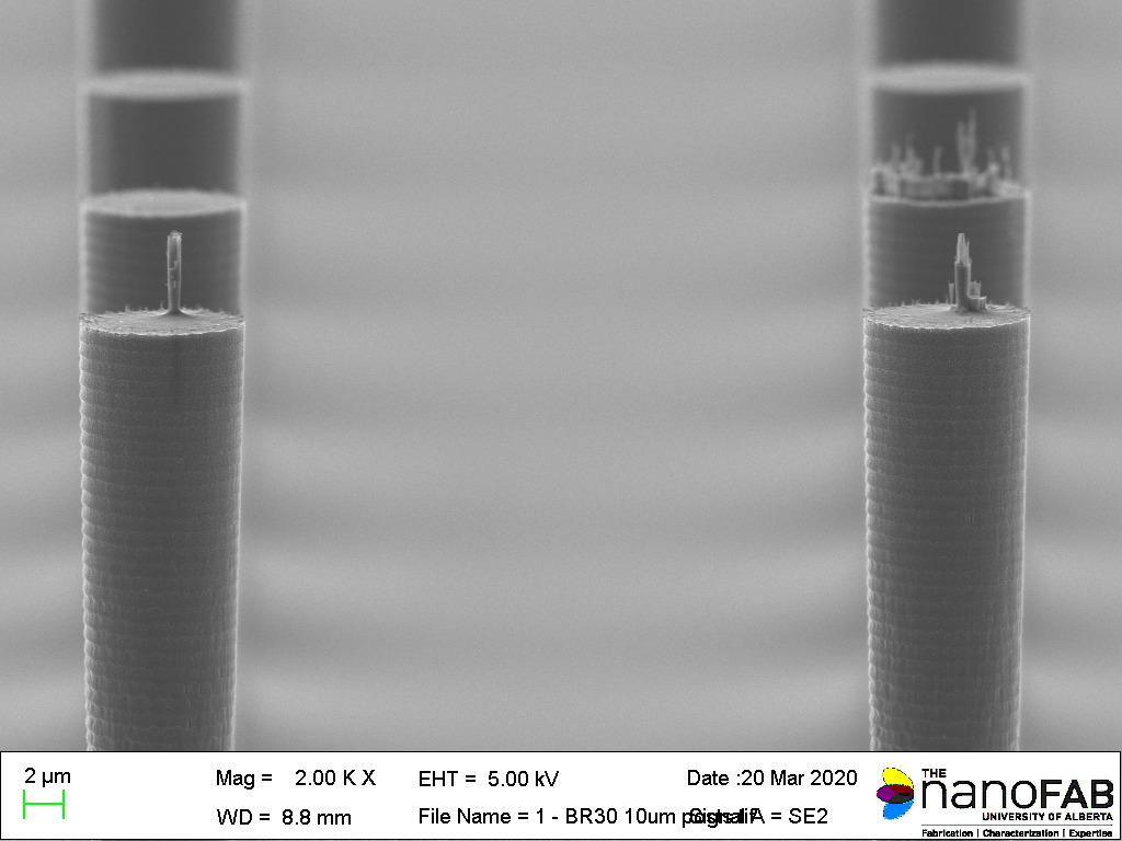 Stripping process: Branson Barrel Etcher - 30 min O₂ plasma Structure: 10 µm posts