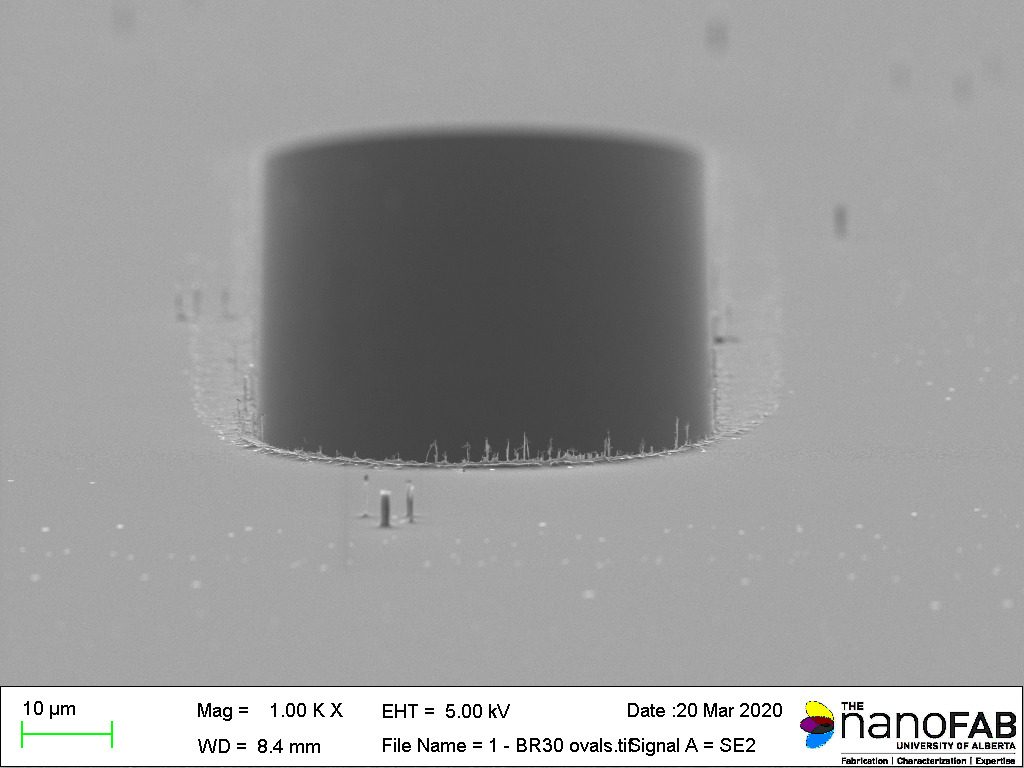 Stripping process: Branson Barrel Etcher - 30 min O₂ plasma Structure: oval trenches