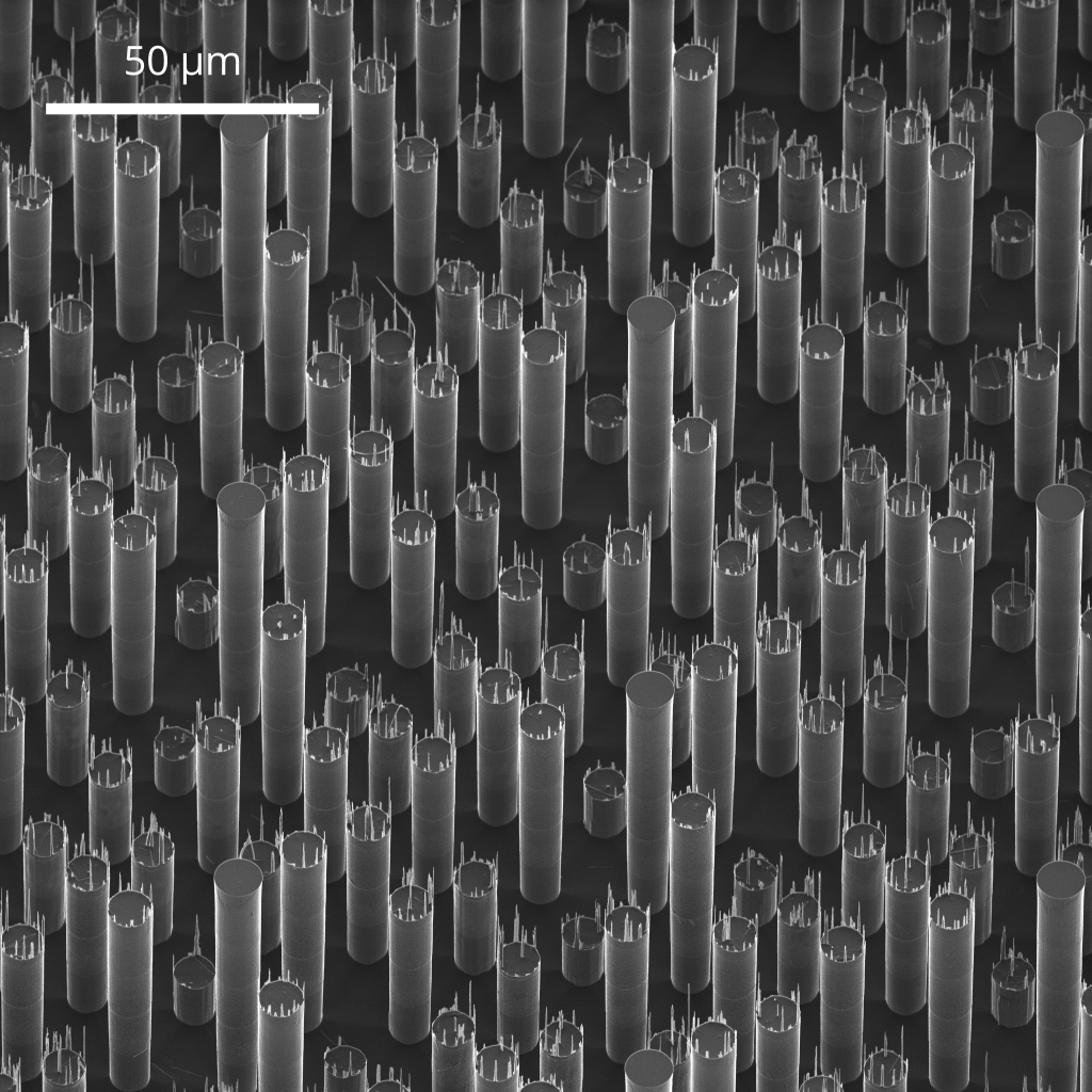 10 µm diameter pillars, 20 µm pitch, in hexagonal array. Nominal pillar heights are 20, 40, 60, 80, and 100 µm. Image acquired via HiM (40° tilt).