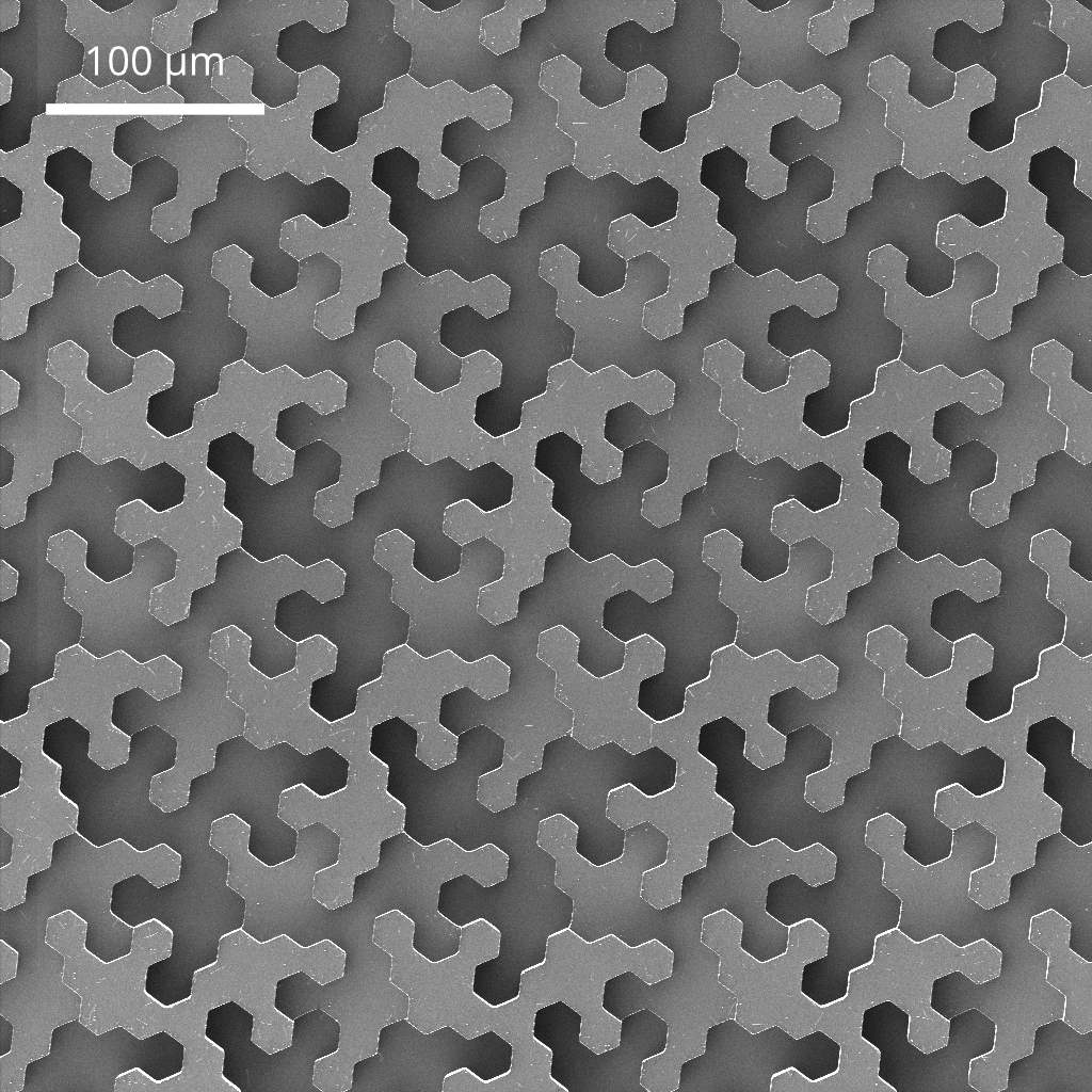 Top view of multilevel trench structure (20 µm hexagons). Image acquired via HiM.