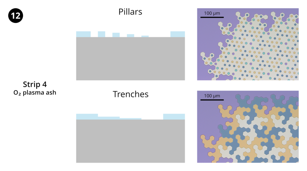 Step 12: Resist strip 4. Strip remaining photoresist using the "O2-stripping" recipe on the Trion RIE.