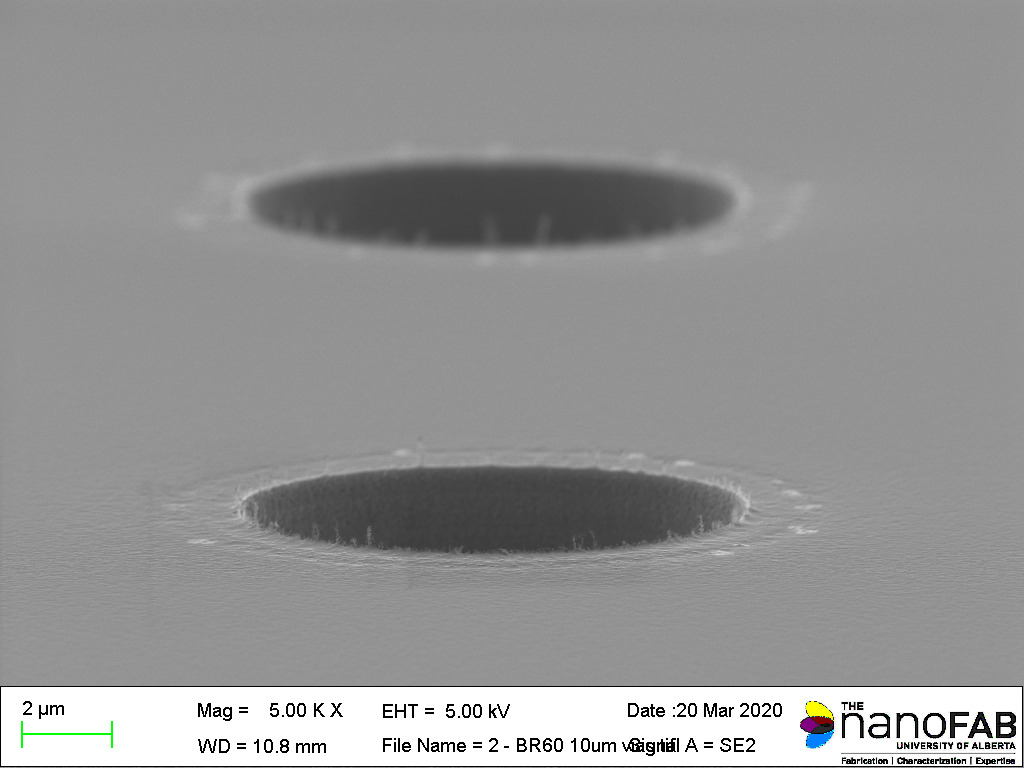 Stripping process: Branson Barrel Etcher - 60 min O₂ plasma Structure: 10 µm vias