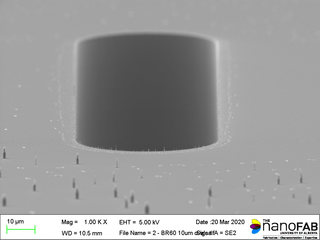 Stripping process: Branson Barrel Etcher - 60 min O₂ plasma Structure: oval trenches