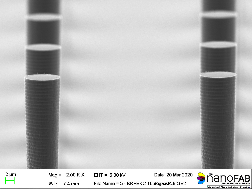 Stripping process: Branson Barrel Etcher - 30 min O₂ plasma + 30 min soak in EKC265 Structure: 10 µm posts