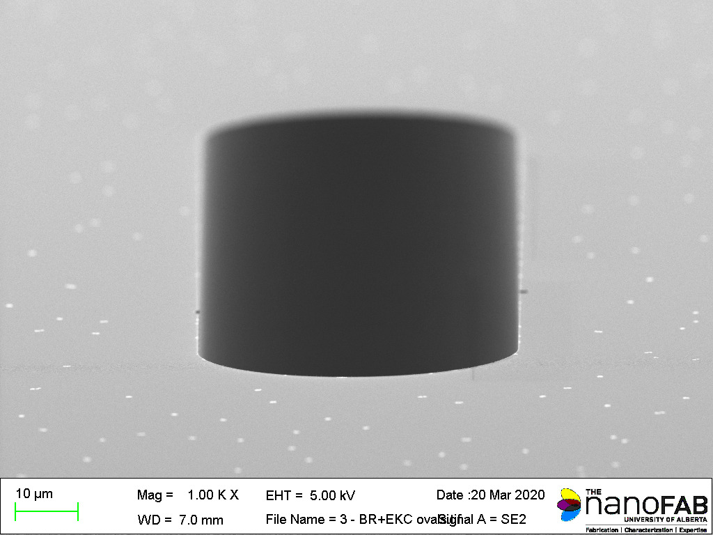 Stripping process: Branson Barrel Etcher - 30 min O₂ plasma + 30 min soak in EKC265 Structure: oval trenches
