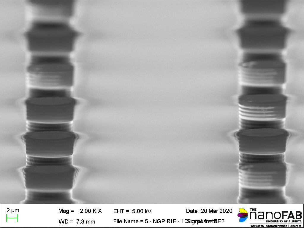 Stripping process: Oxford NGP80 (RIE) - 30 min Descum high recipe Structure: 10 µm posts