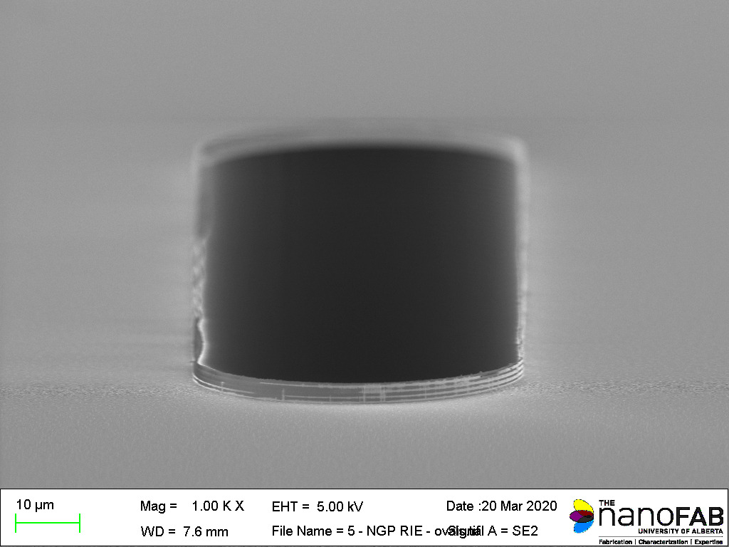 Stripping process: Oxford NGP80 (RIE) - 30 min Descum high recipe Structure: oval trenches