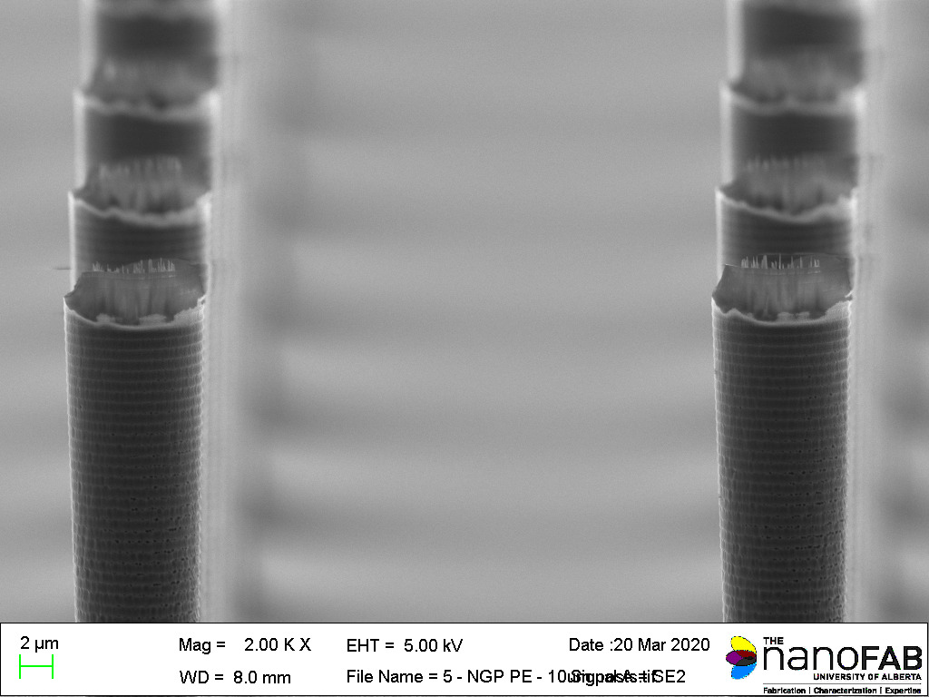 Stripping process: Oxford NGP80 (PE) - 30 min Descum PE mode recipe Structure: 10 µm posts