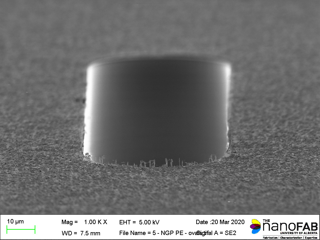 Stripping process: Oxford NGP80 (PE) - 30 min Descum PE mode recipe Structure: oval trenches
