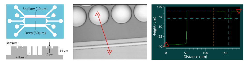 Microfluidic device layout and Si mould cross-section (left), and 3D optical profilometry scan (middle, right) of two-level Si mould. 10 µm deep barrier structures restrict flow into a 50 µm tall pillar array region.