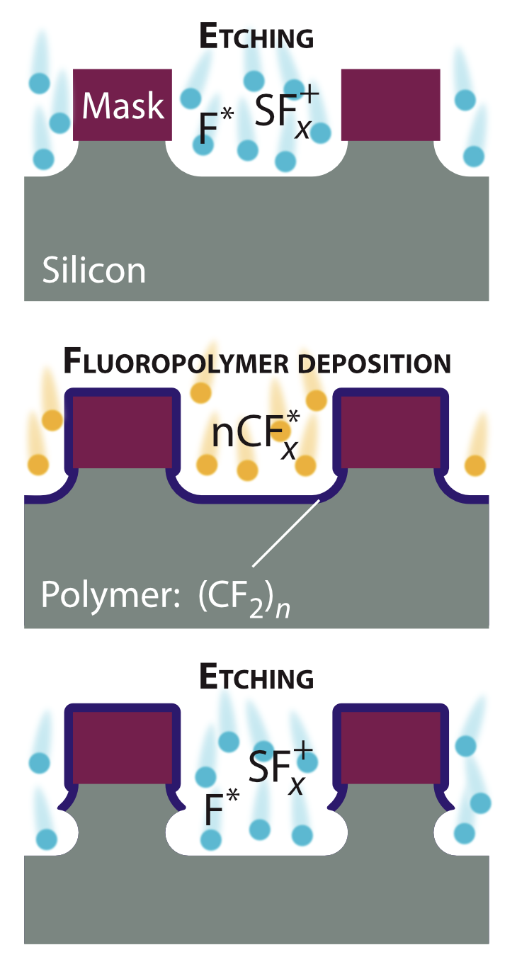 Bosch etch process. The isotropic etch and fluoropolymer steps are repeated in each cycle.