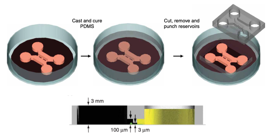 Example of multilevel PDMS microfluidics device.
