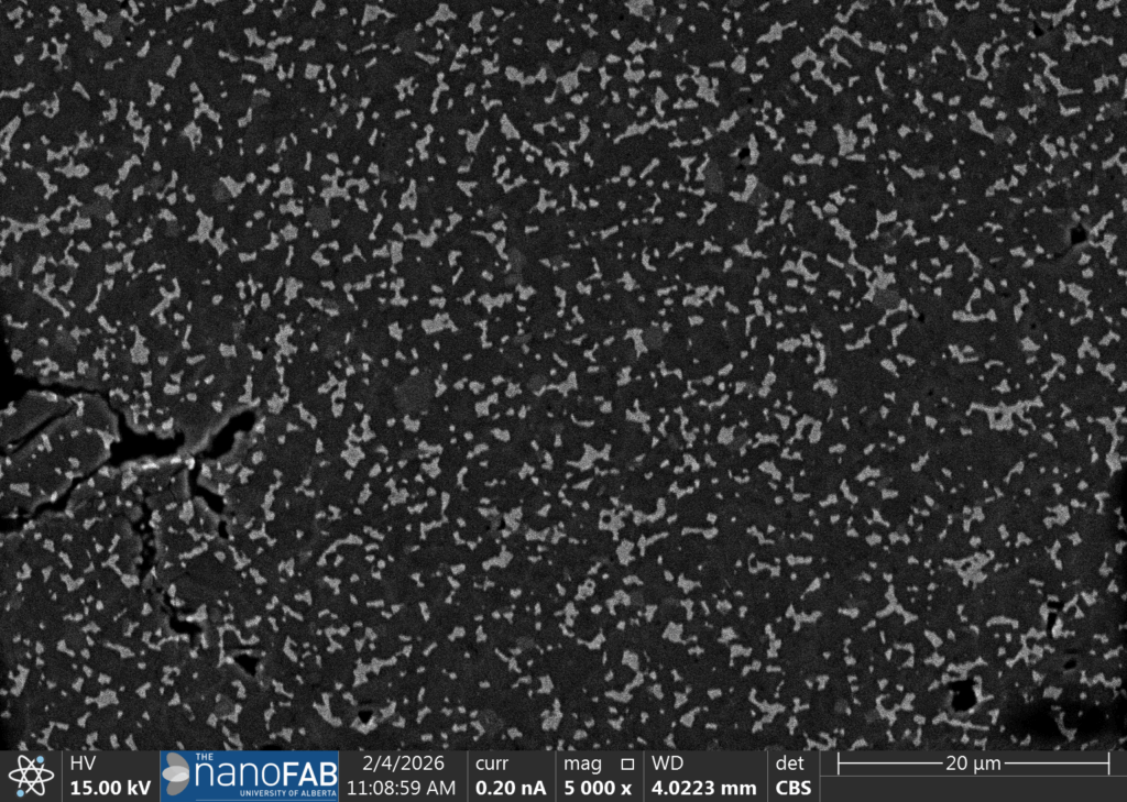 Scanning electron microscope image, captured using TF Hydra FESEM in backscatter modes, shows numerous small, bright particles scattered across a dark background; scale bar indicates 20 micrometers.
