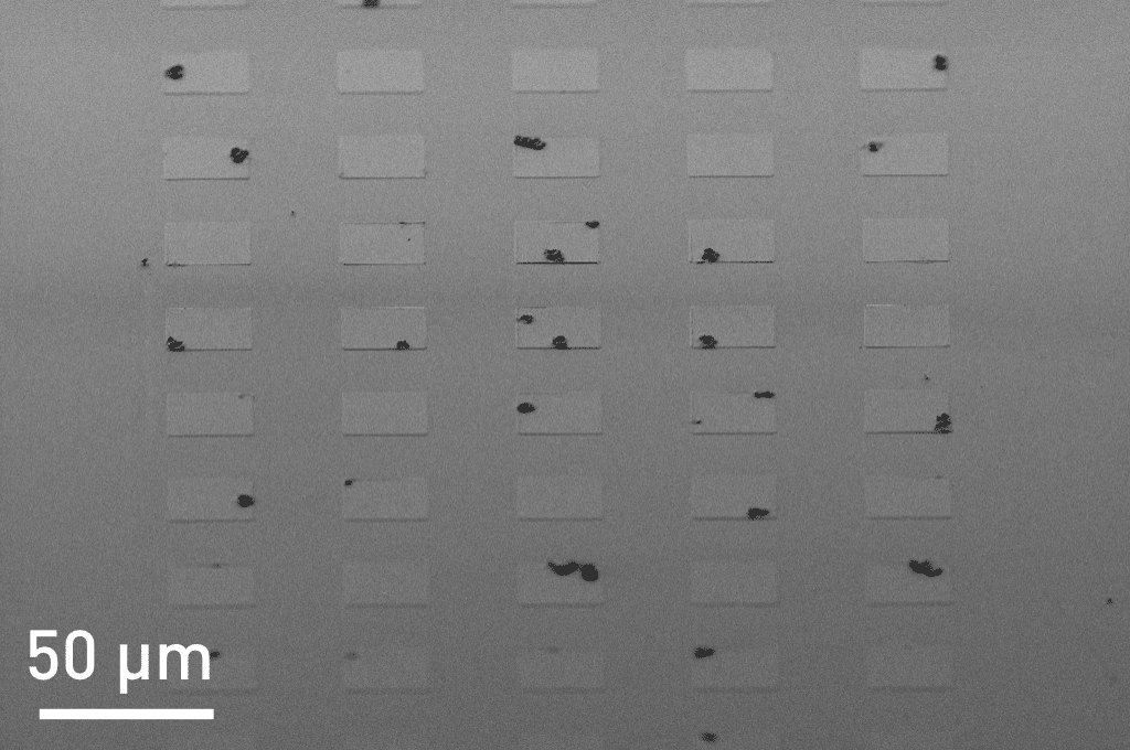 SEM image of corrosion on dry-etched aluminum features masked with HPR504 photoresist.